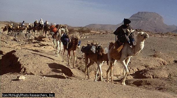 annonce de rencontre mariage en algerie
